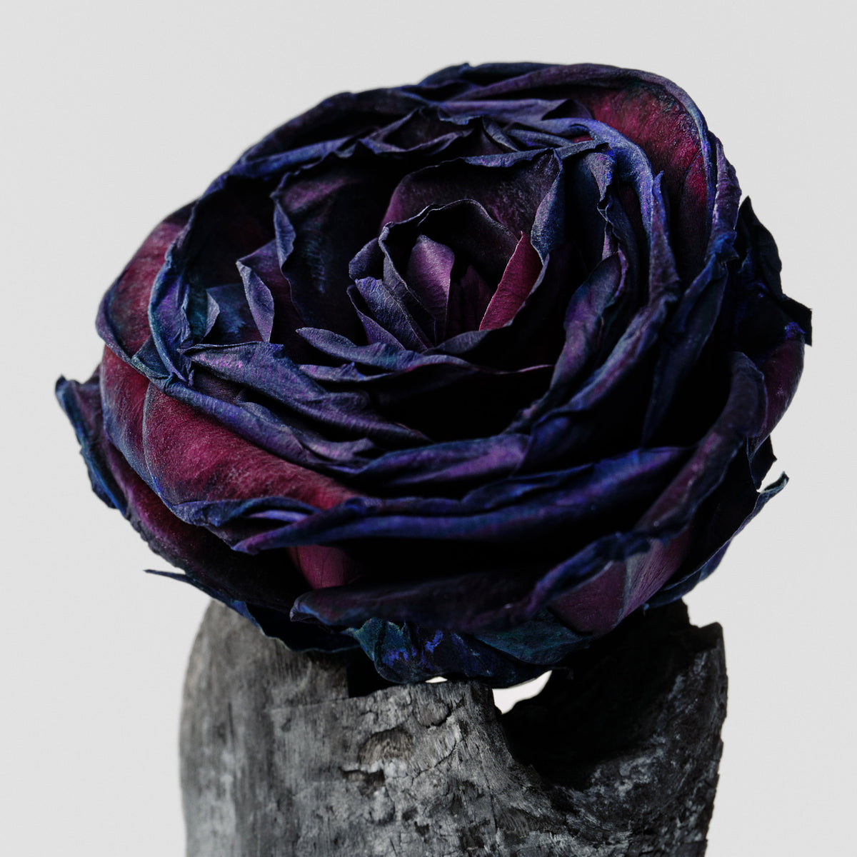 Mgiełka do ciała – Black Rose & Oud