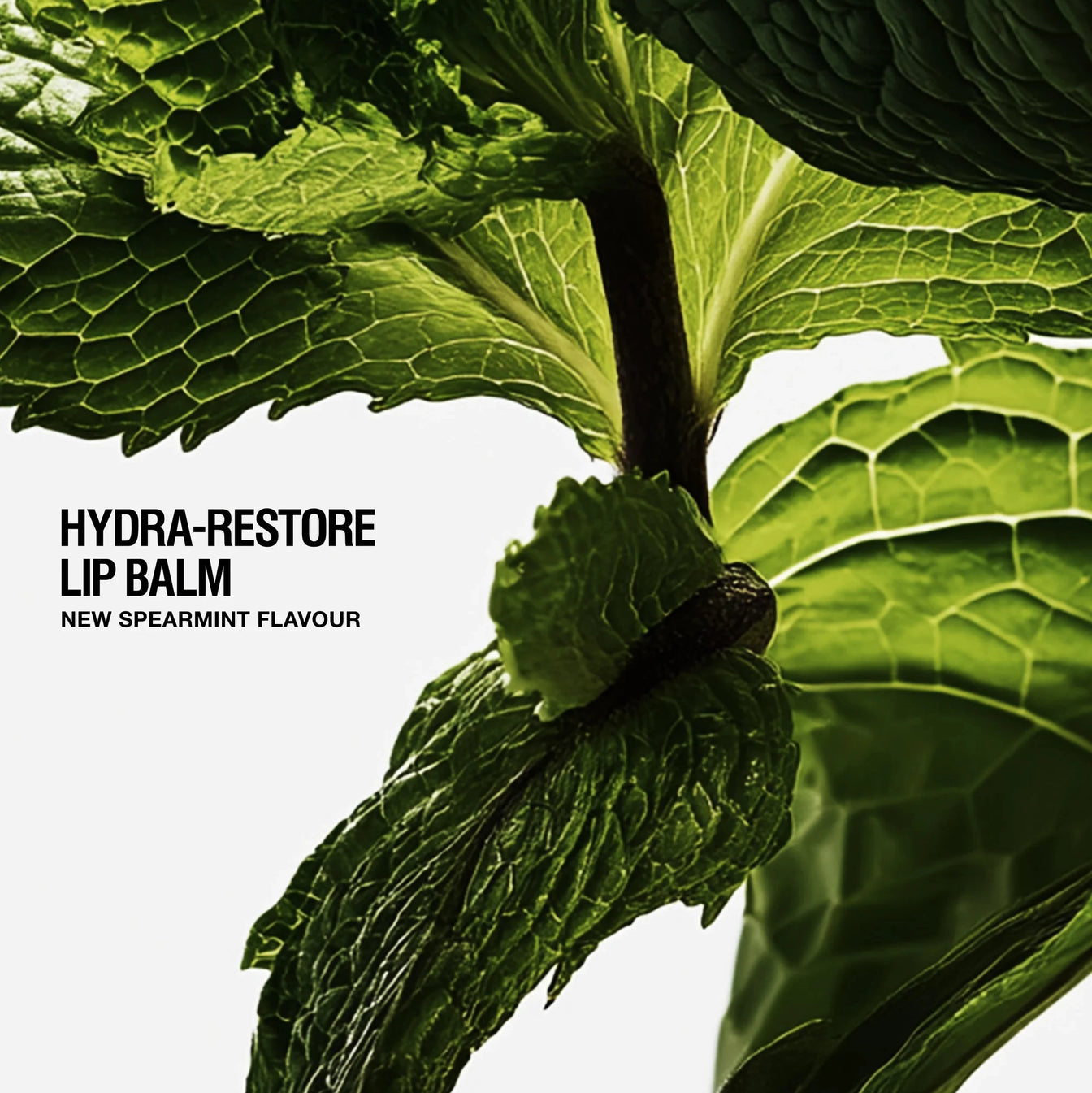 Hydra-Restore Lip Balm Spearmint spearmint
